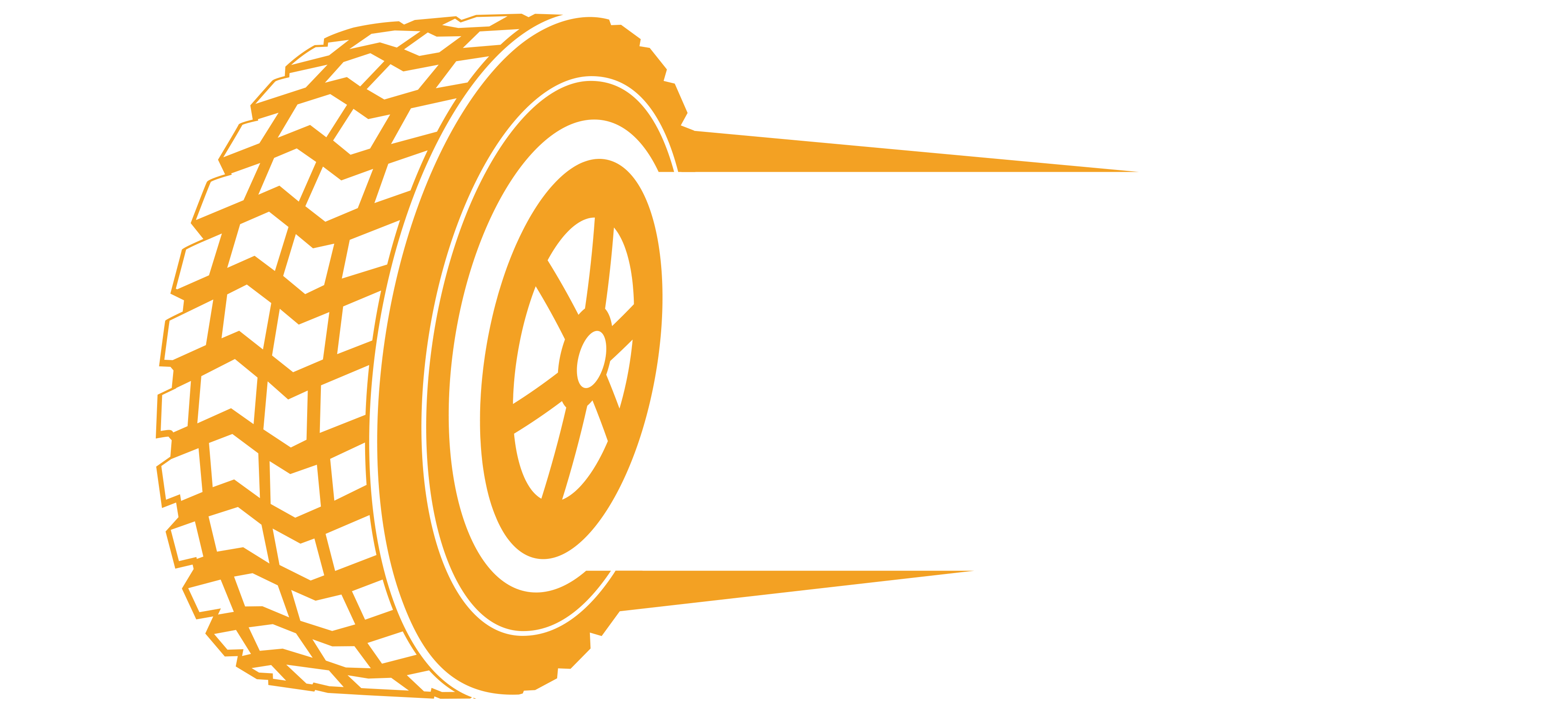bursa lastik jant logo 2 (1)
